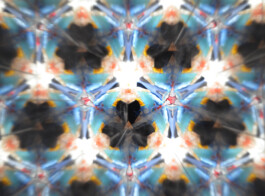 OnMateria